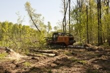 Deforestation of Khimki Forest